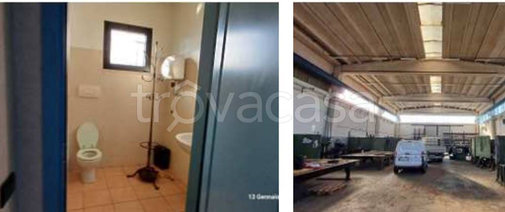 immagine annuncio 10 di 12