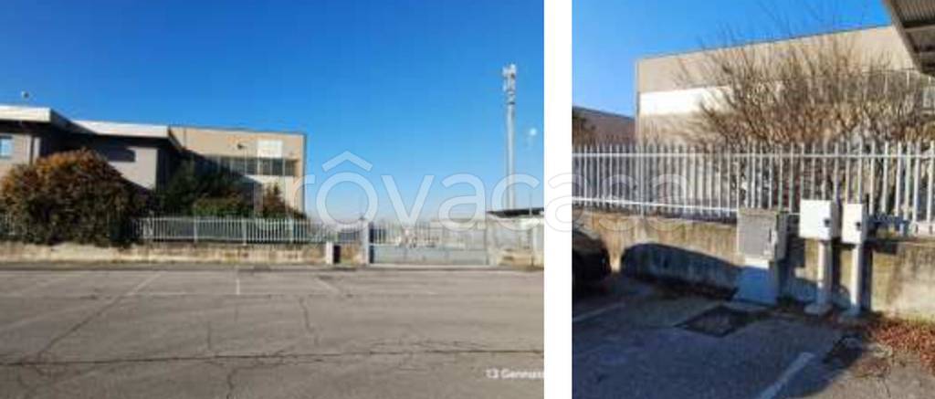 immagine annuncio 11 di 12