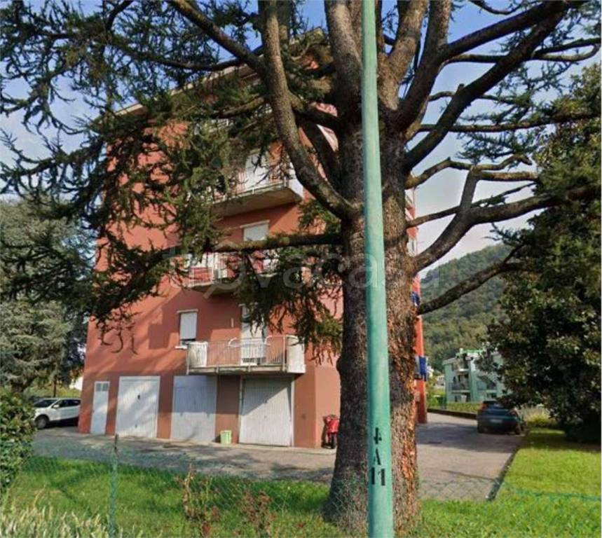 immagine annuncio 7 di 13