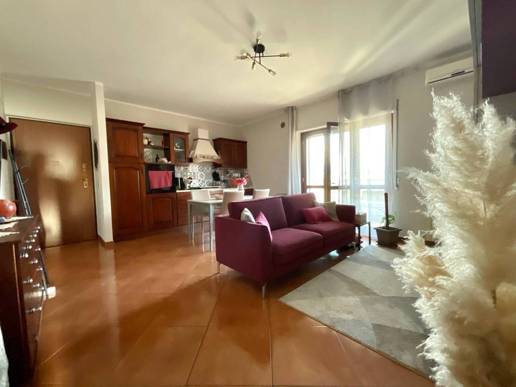 immagine annuncio 3 di 12