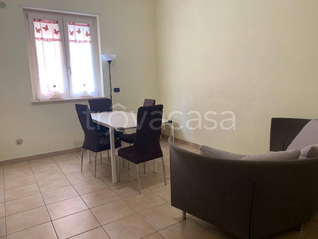 immagine annuncio 6 di 14