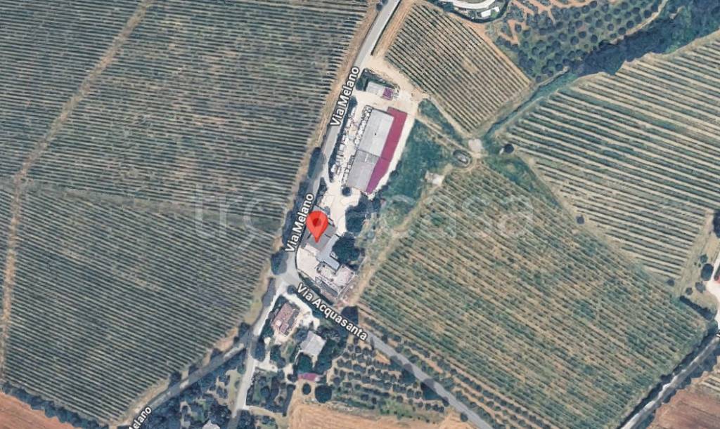 immagine annuncio 4 di 9