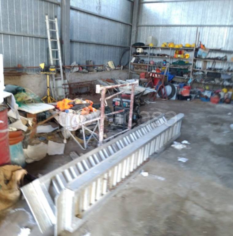 immagine annuncio 8 di 11