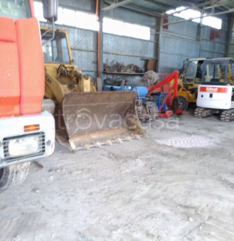 immagine annuncio 9 di 11