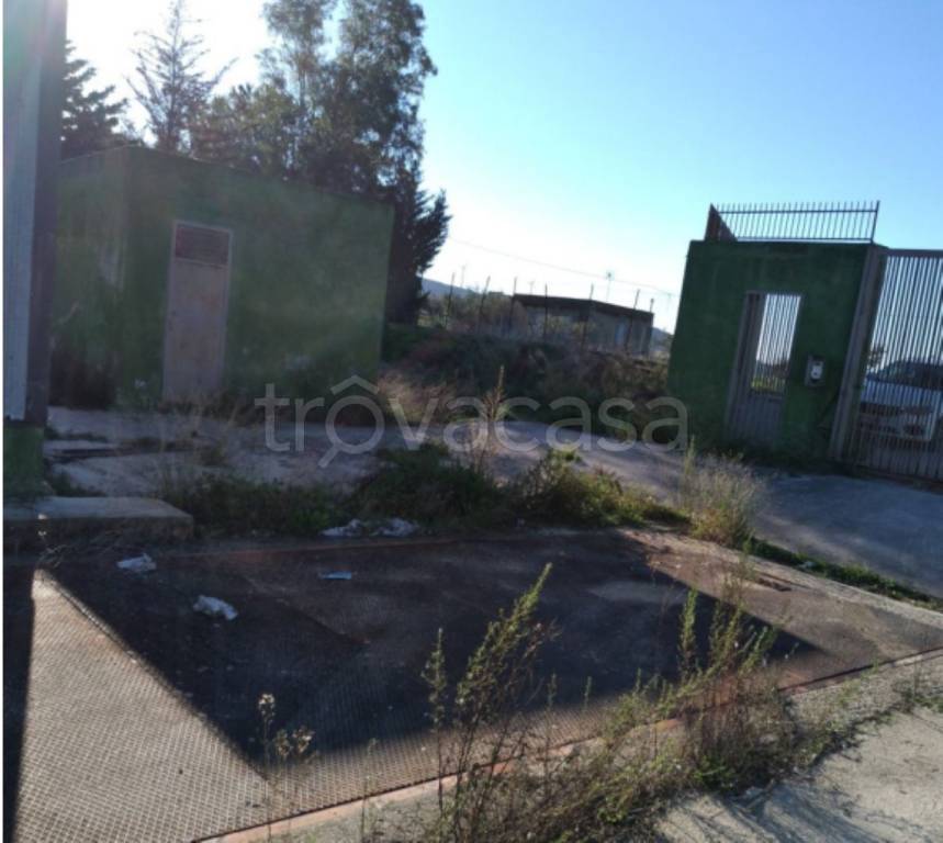 immagine annuncio 10 di 11