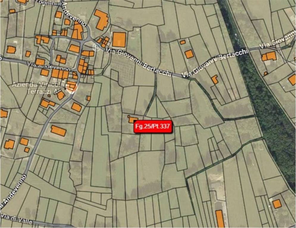 immagine annuncio 2 di 15