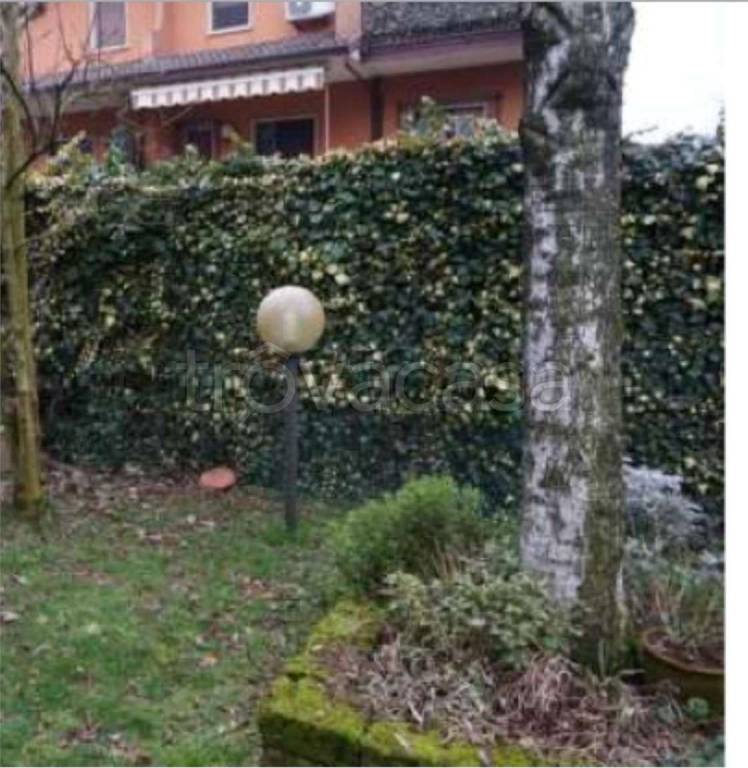 immagine annuncio 9 di 13