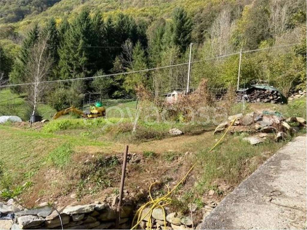 immagine annuncio 7 di 13