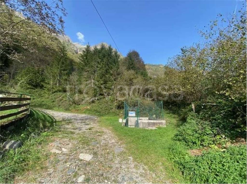 immagine annuncio 11 di 13