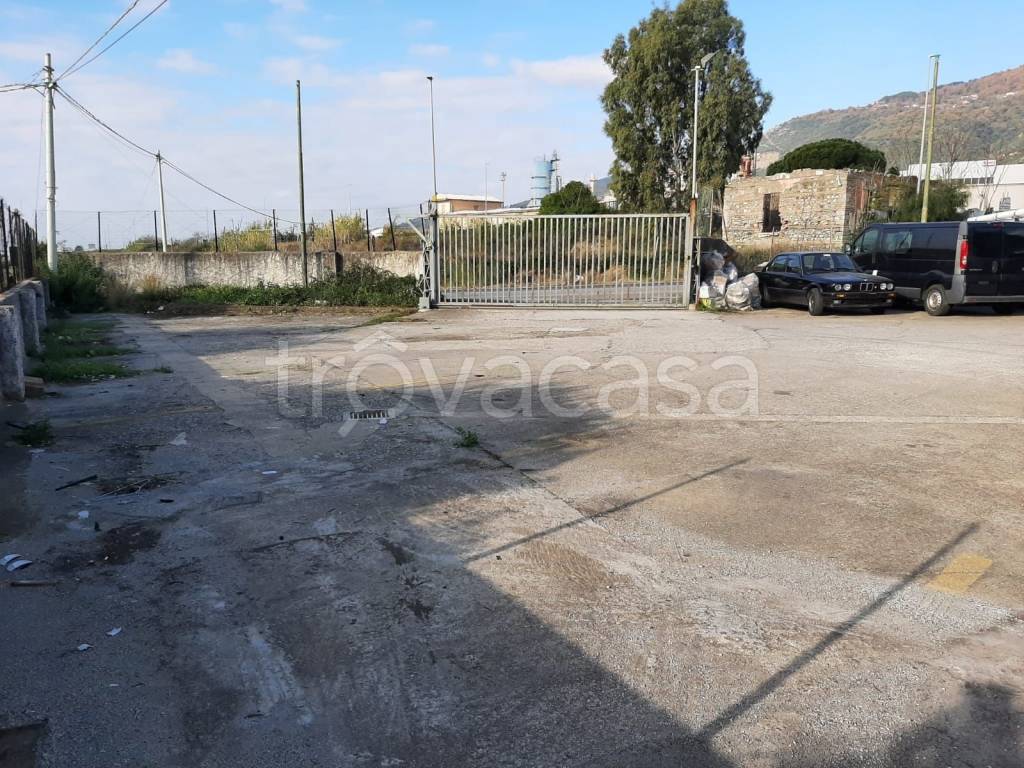 immagine annuncio 6 di 8