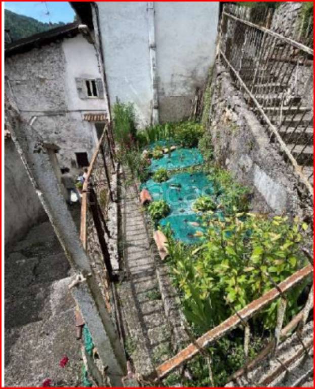 immagine annuncio 2 di 12