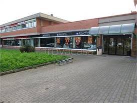 immagine annuncio 9 di 11