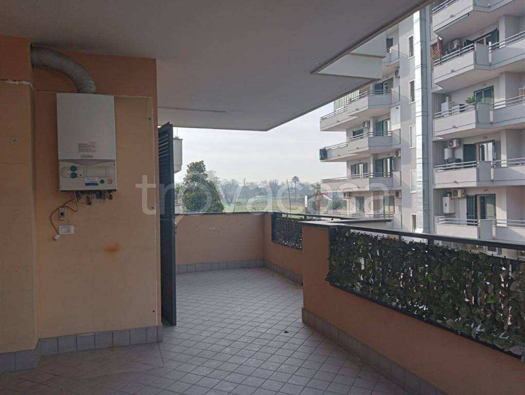 immagine annuncio 5 di 12