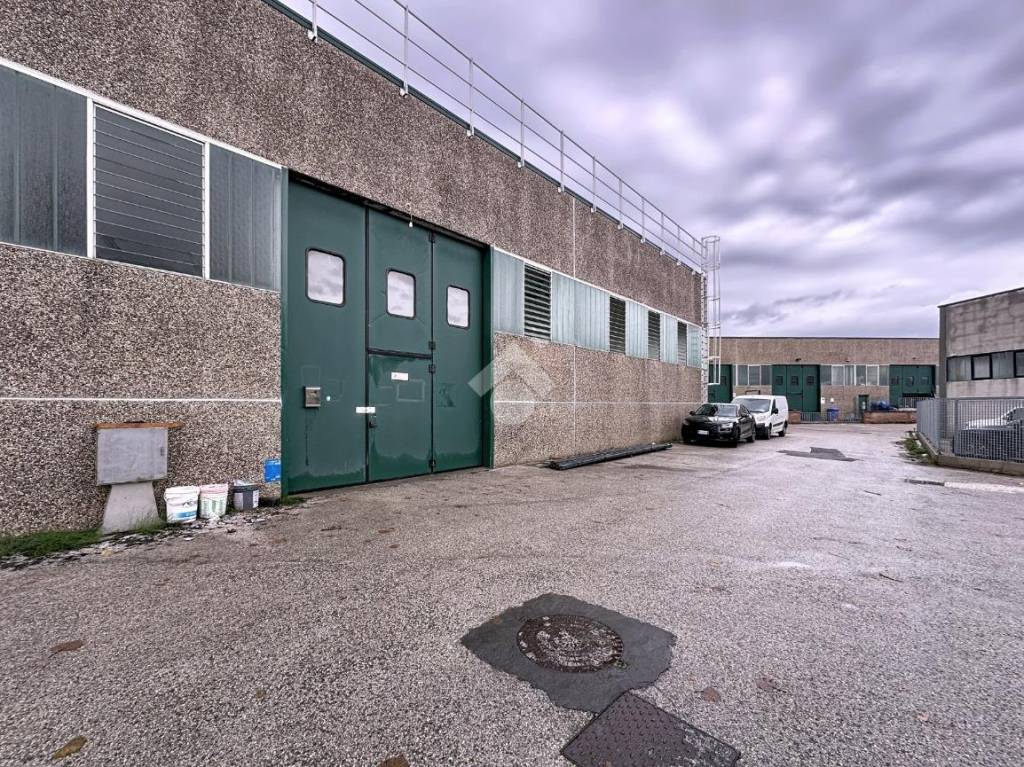 immagine annuncio 7 di 15