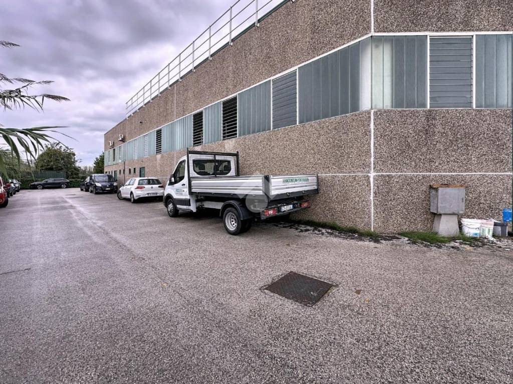 immagine annuncio 9 di 15