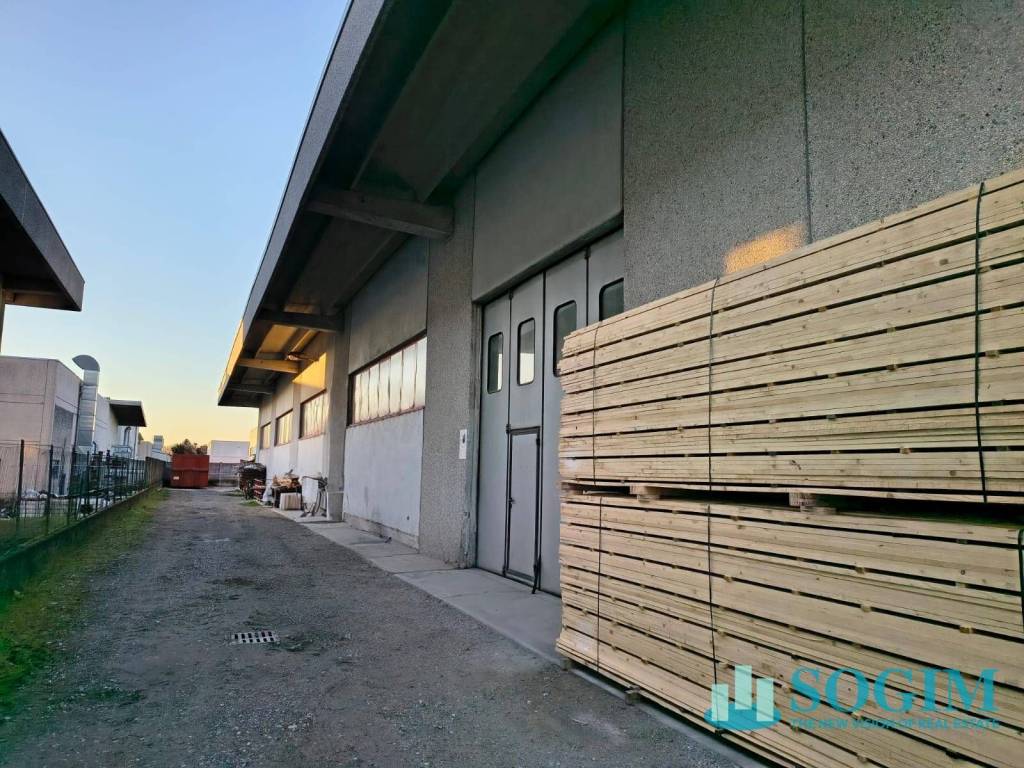 immagine annuncio 12 di 14