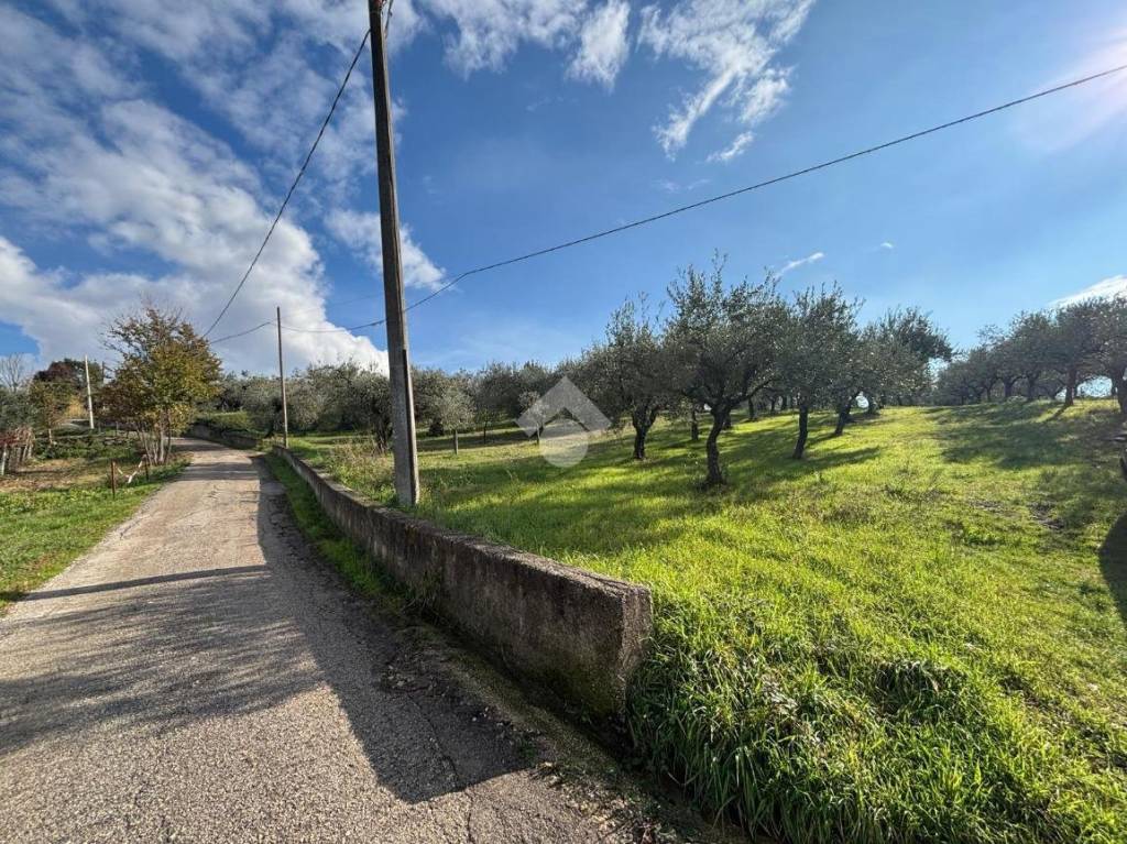 immagine annuncio 7 di 10