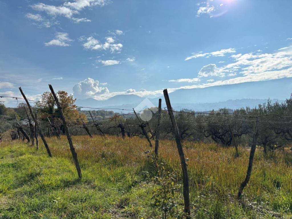 immagine annuncio 8 di 10