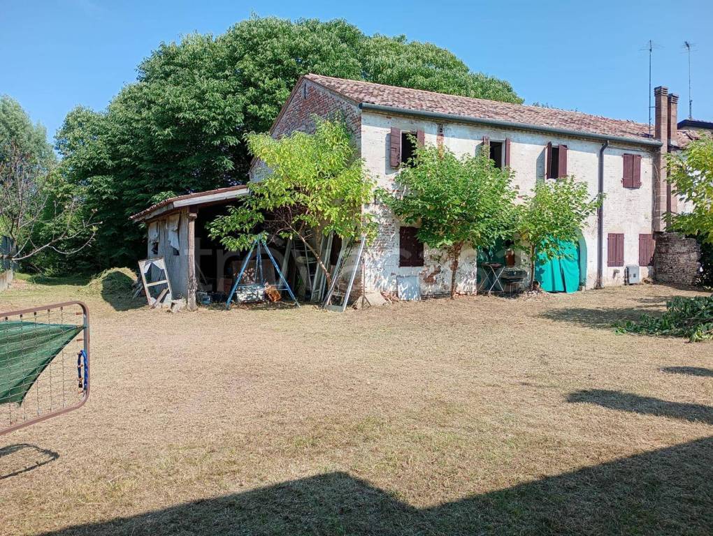 immagine annuncio 1 di 8