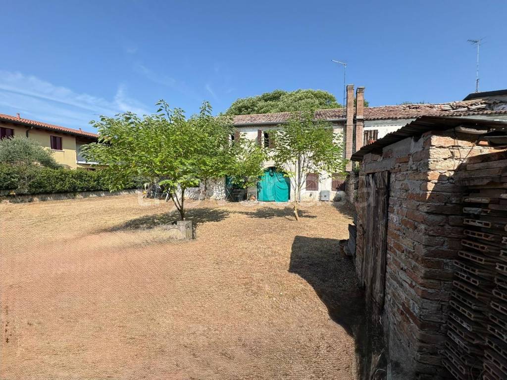 immagine annuncio 4 di 8