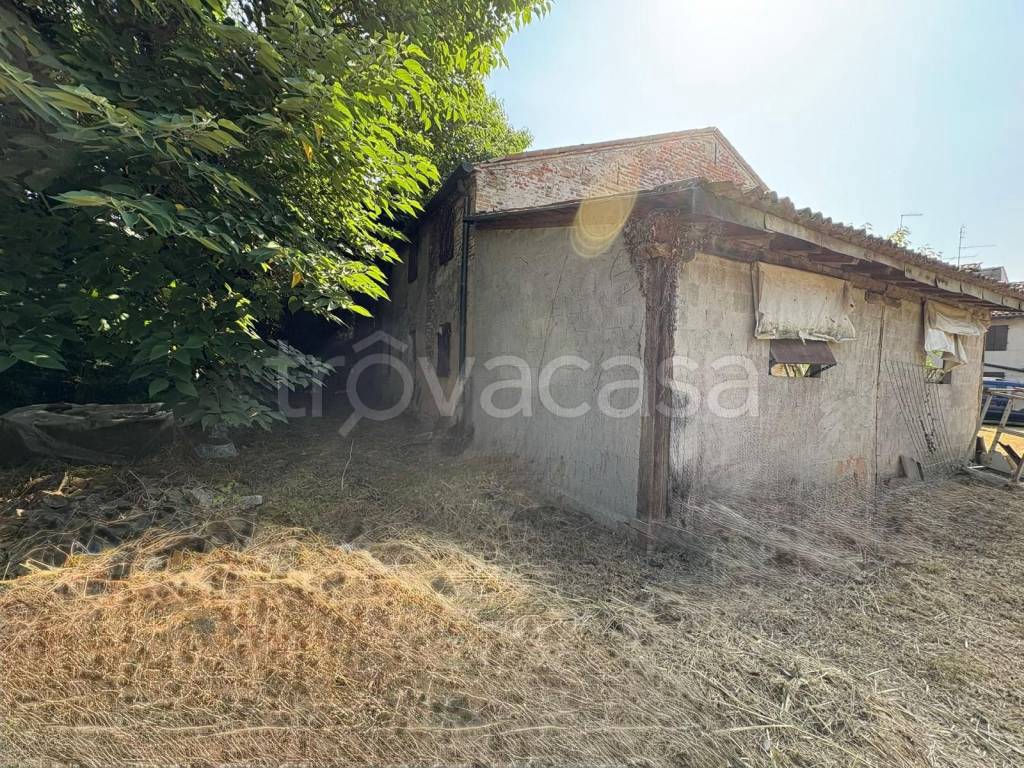 immagine annuncio 7 di 8