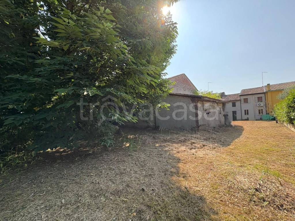 immagine annuncio 5 di 8