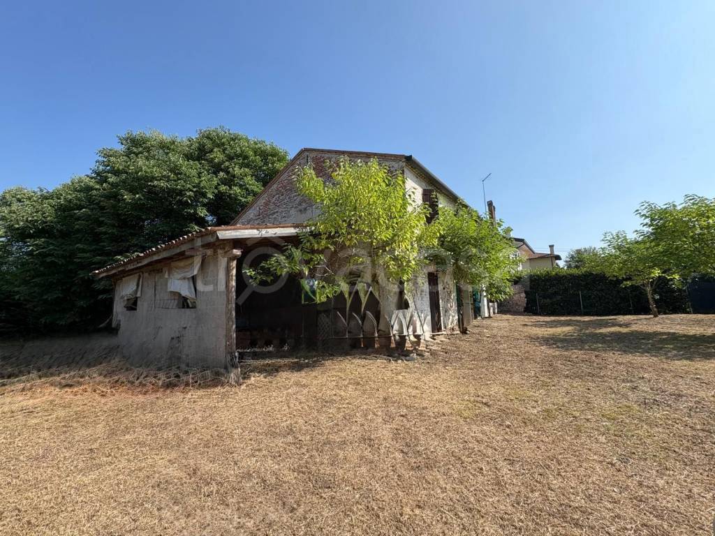 immagine annuncio 3 di 8