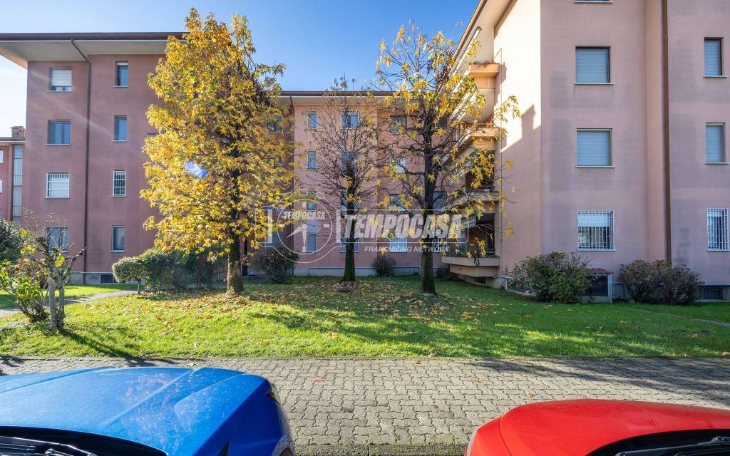 immagine annuncio 10 di 12