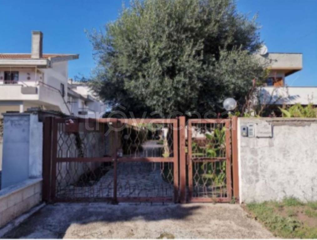 immagine annuncio 1 di 11