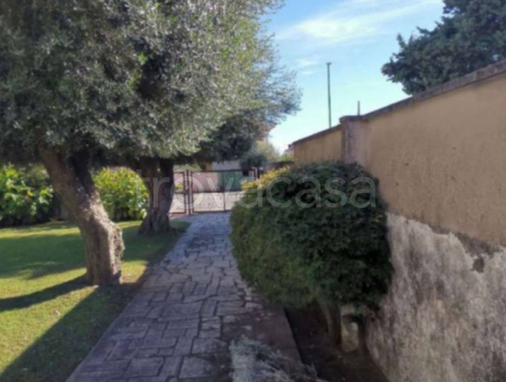 immagine annuncio 5 di 11