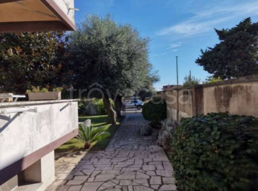 immagine annuncio 6 di 11