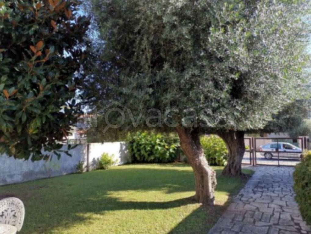 immagine annuncio 7 di 11