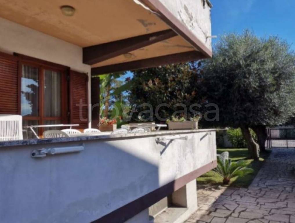 immagine annuncio 8 di 11