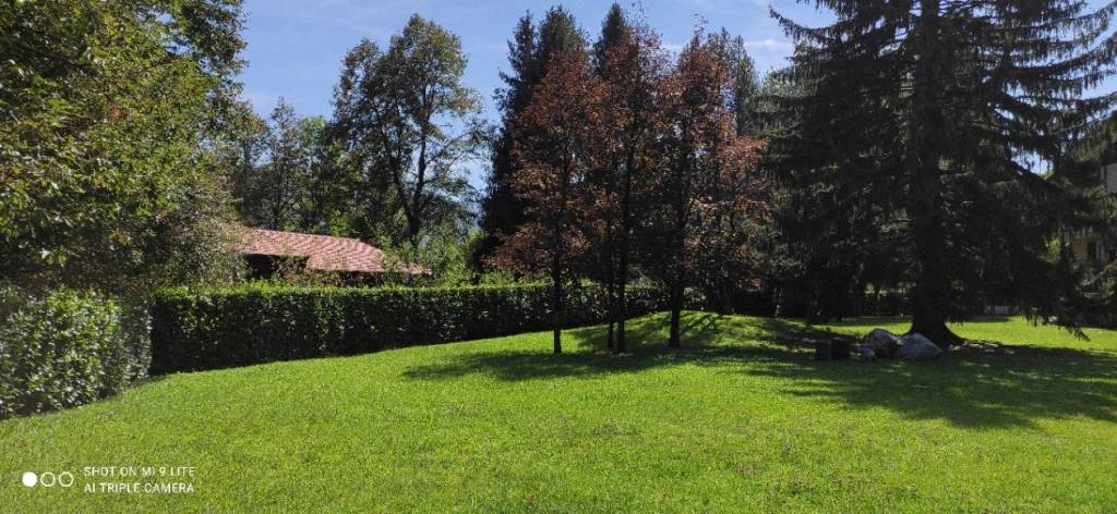 immagine annuncio 9 di 13