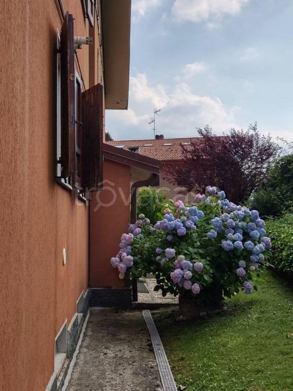 immagine annuncio 8 di 13