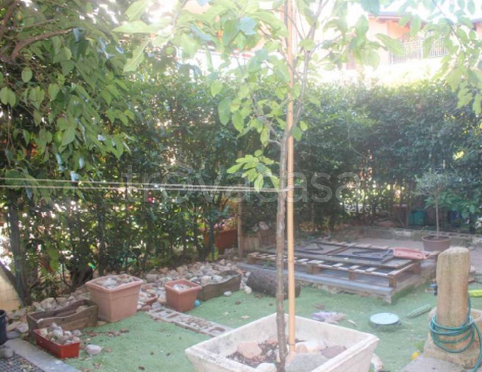 immagine annuncio 8 di 11