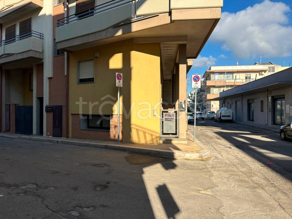 immagine annuncio 10 di 14