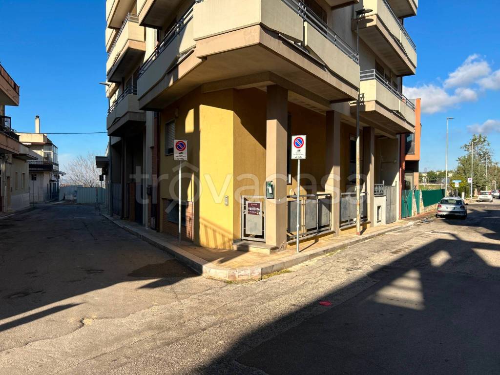 immagine annuncio 11 di 14