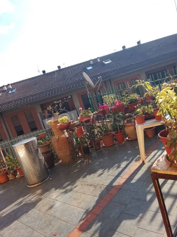 immagine annuncio 10 di 12