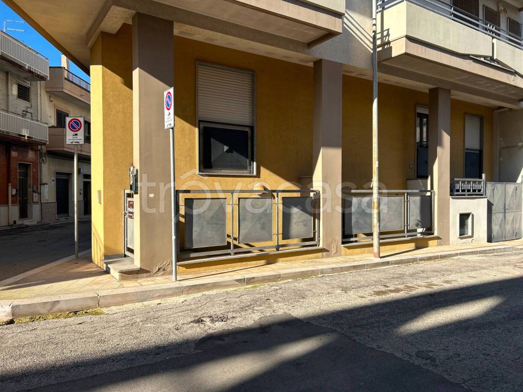 immagine annuncio 12 di 14