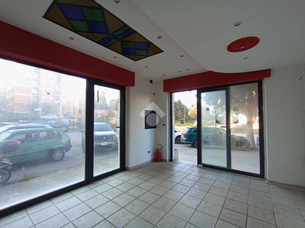 immagine annuncio 3 di 14