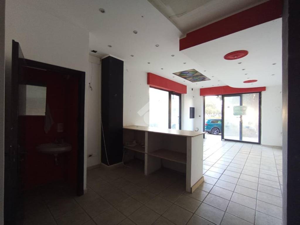 immagine annuncio 4 di 14