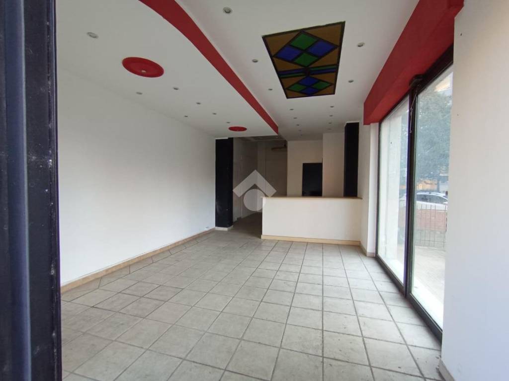 immagine annuncio 5 di 14