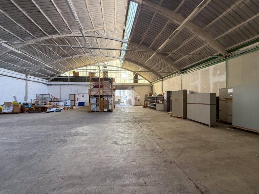 immagine annuncio 7 di 15