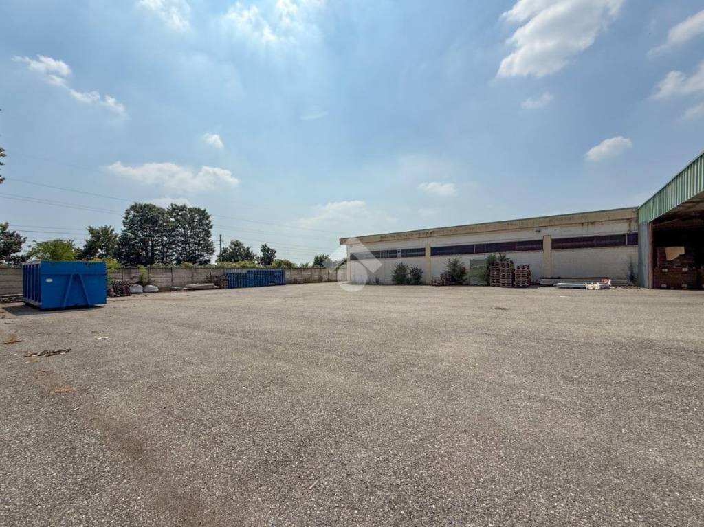 immagine annuncio 7 di 15