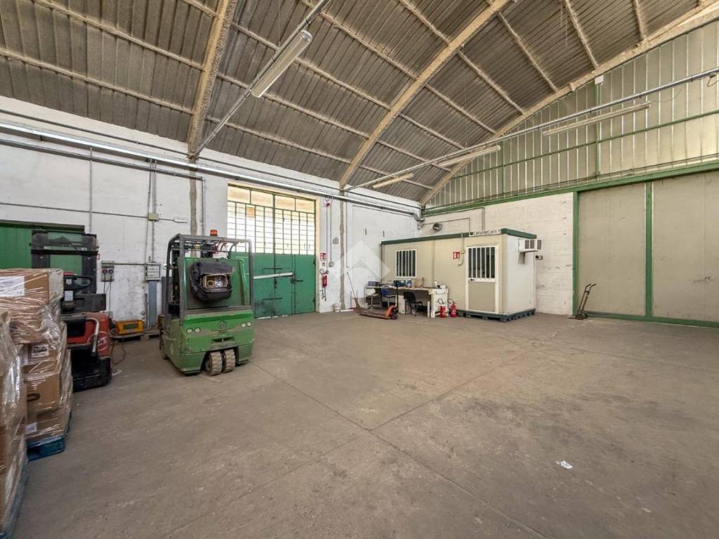 immagine annuncio 10 di 15