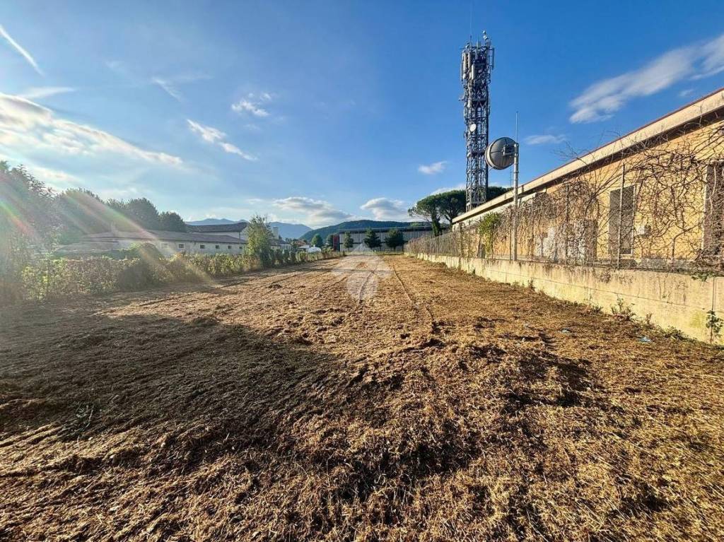 immagine annuncio 2 di 11