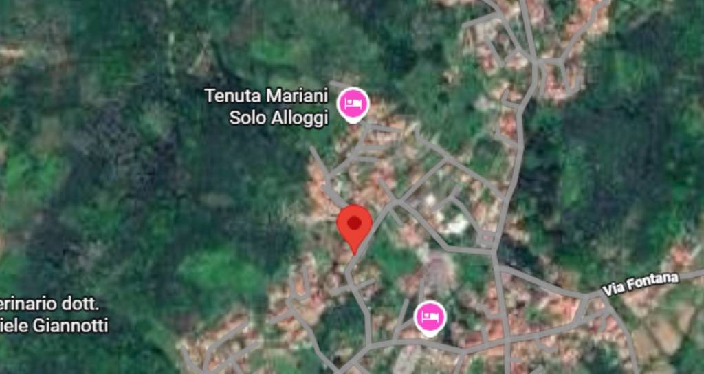 immagine annuncio 10 di 12