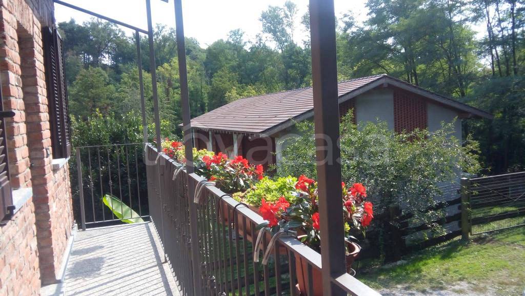 immagine annuncio 3 di 8