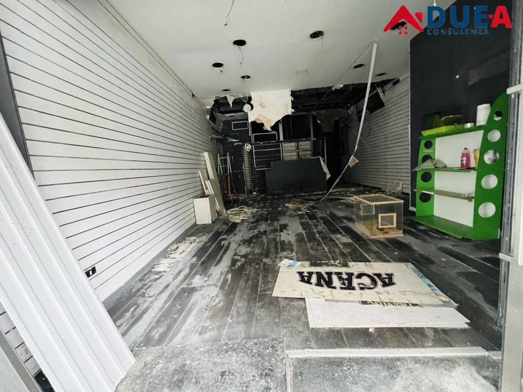 immagine annuncio 3 di 6